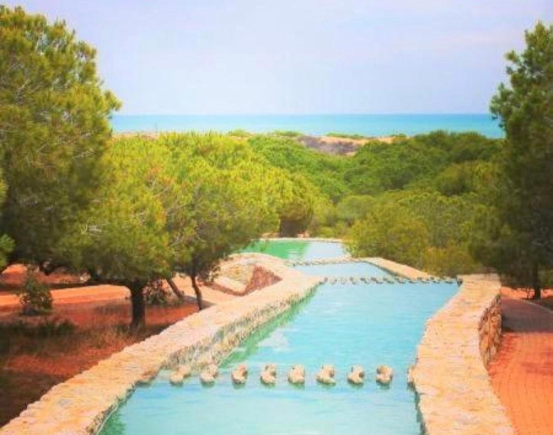 טורבייחה Apartment With Pool & Balcony Less Than 10Min Walk To La Mata Beach! מראה חיצוני תמונה